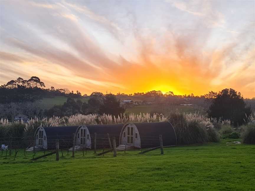 Turanga Creek, Whitford, New Zealand