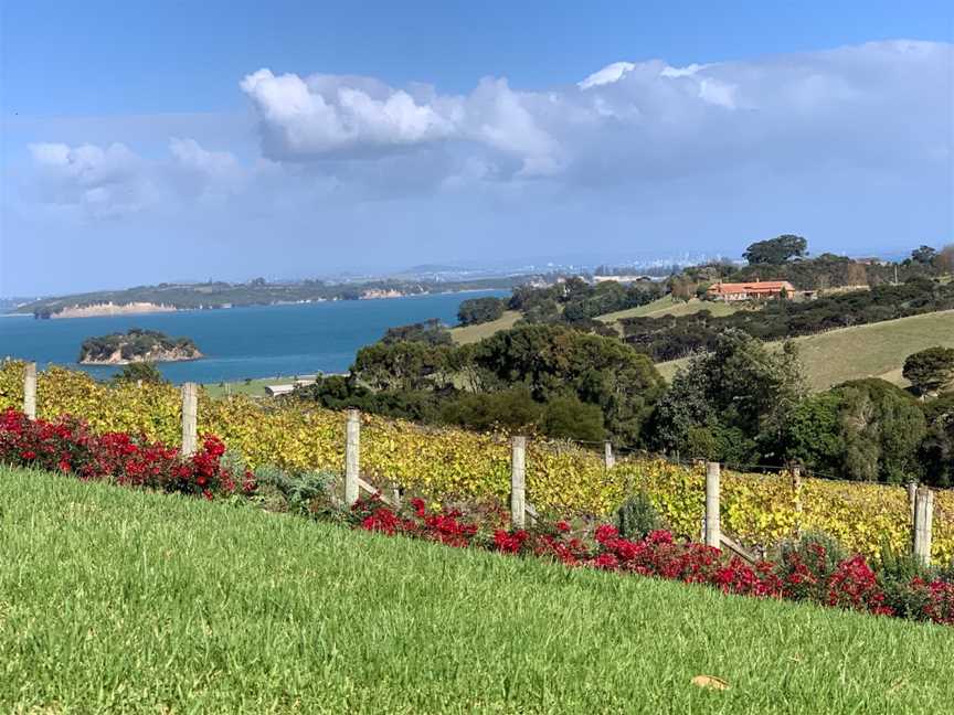 Cable Bay Vineyards, Oneroa, New Zealand