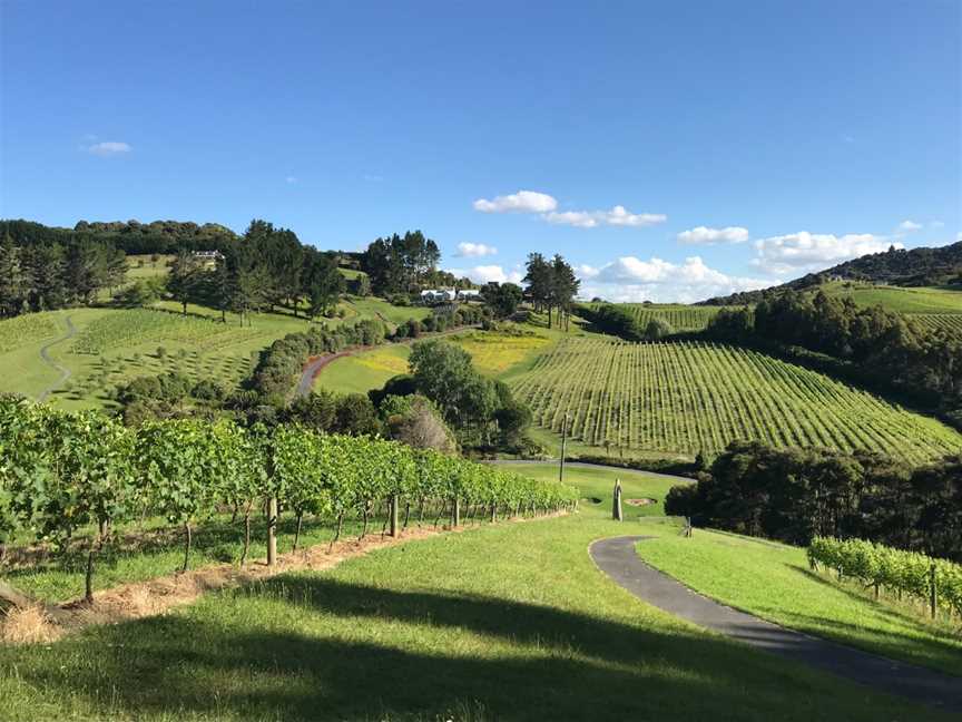 Paroa Bay Winery, Russell, New Zealand