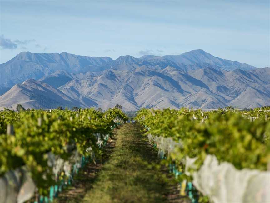 Spy Valley Wines, Blenheim, New Zealand