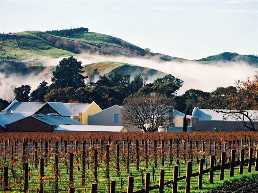 Te Mata Estate, Wineries in Parkvale