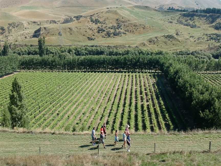 The Bone Line, Broomfield, New Zealand