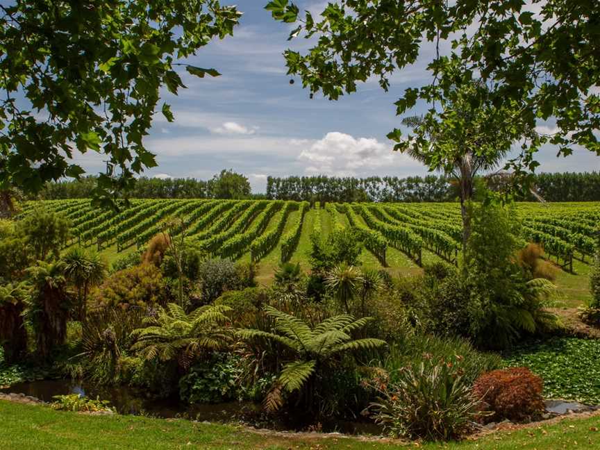 West Brook Winery, Helensville, New Zealand