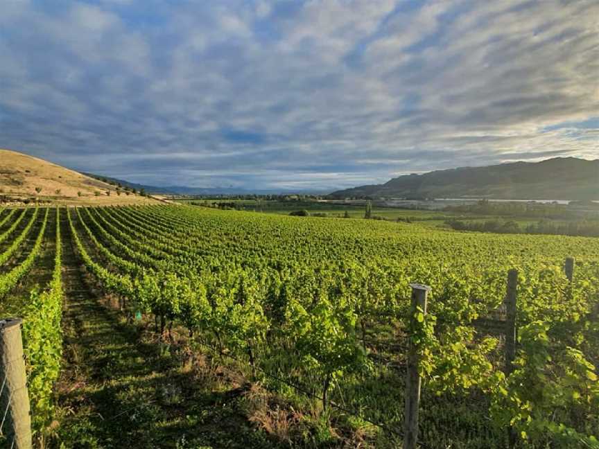 Domaine Thomson Wines, Cromwell, New Zealand