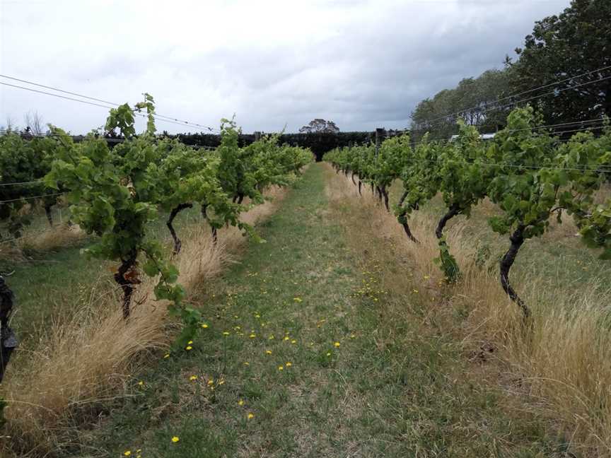 Porters,Porters Pinot,Porter's Pinot, Martinborough, New Zealand