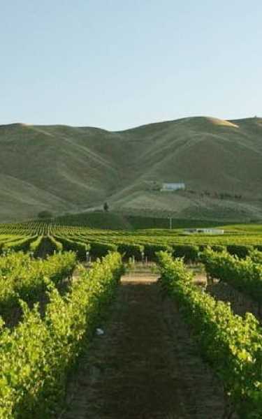 Wineries of Marlborough, New Zealand