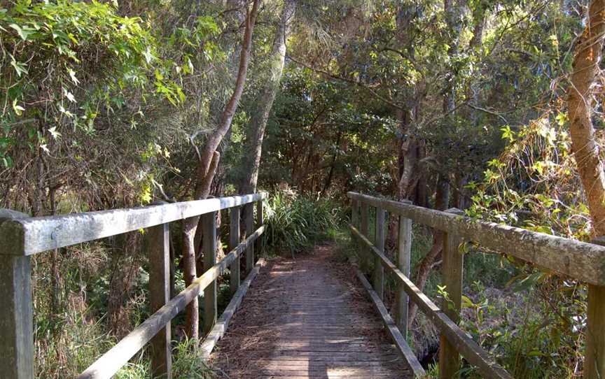 Awaba Bay Foreshore Walk, Bolton Point, NSW
