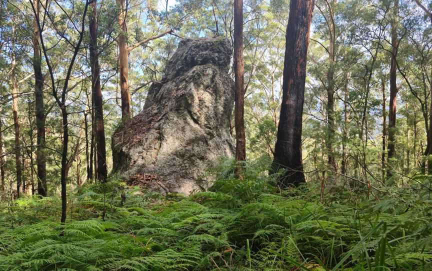 Bulahdelah Mountain Aboriginal Place, Bulahdelah, NSW