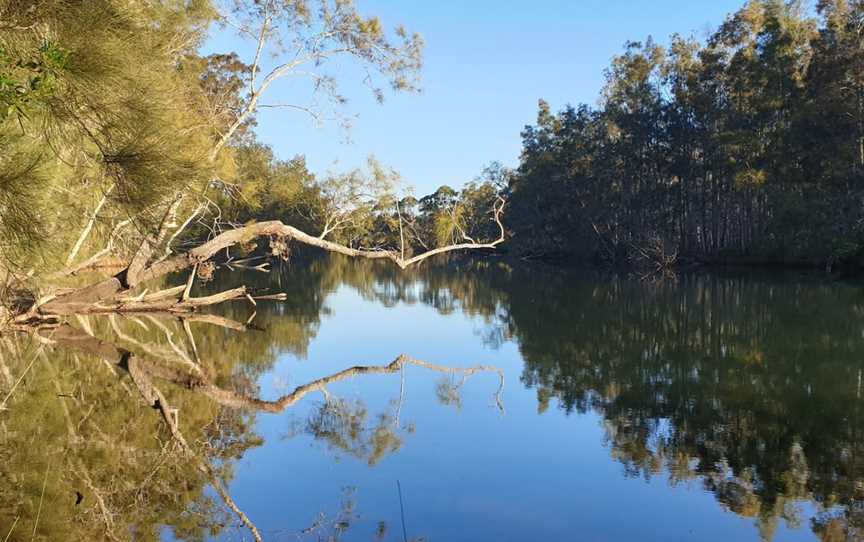 Corramy Regional Park, Basin View, NSW