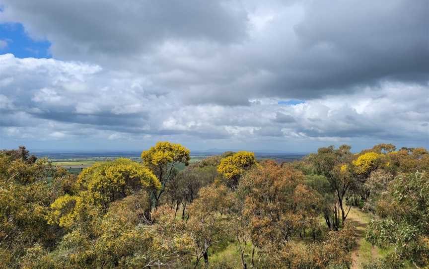 Galore Hill Scenic Reserve, Fargunyah, NSW