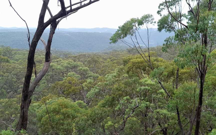 Mount Olive lookout, Glenworth Valley, NSW