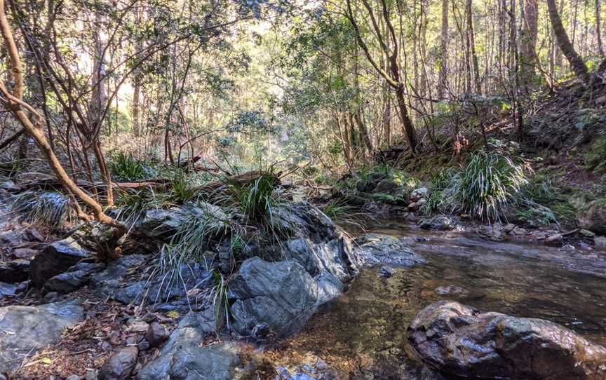 Potoroo Falls picnic area, Dingo Forest, NSW