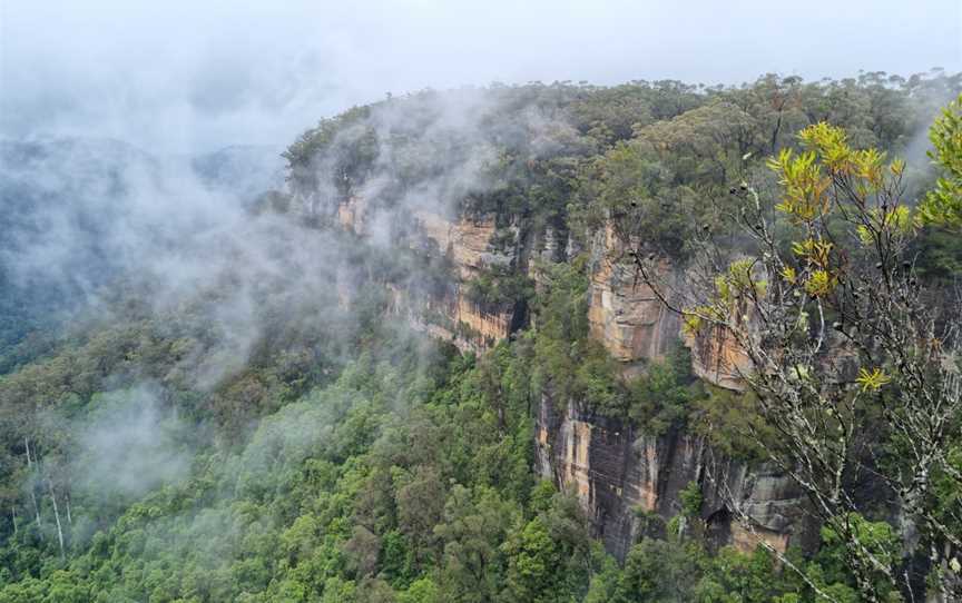 Starkeys lookout, Fitzroy Falls, NSW