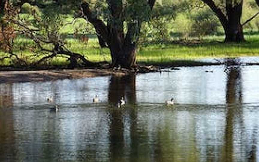 Warrego Floodplain picnic area (Wariku Pulka), Gumbalie, NSW