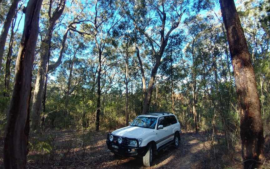 Blue Mountains Off-Road Tours, Bullaburra, NSW