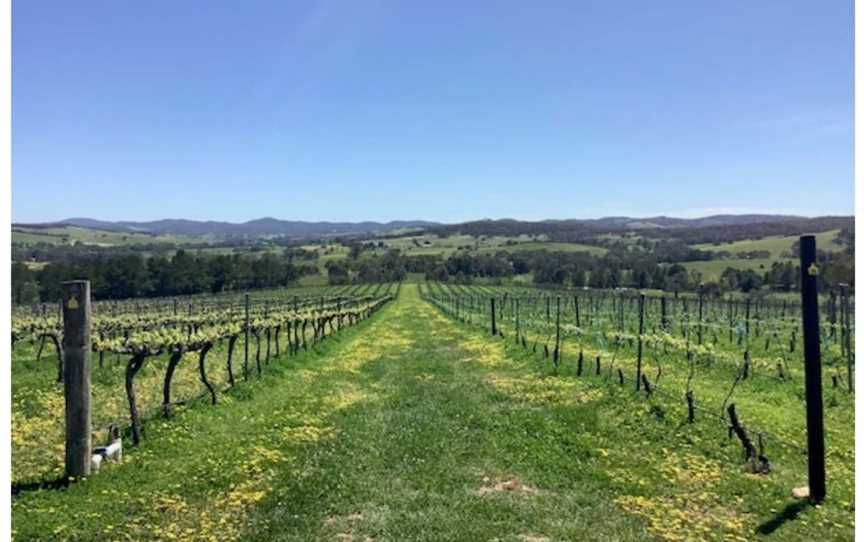 Luxury Wine Tours by Grape Escapes Canberra, Hawker, ACT