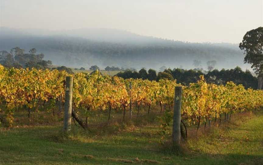 Rusty Fig Wines, Wineries in Coolagolite