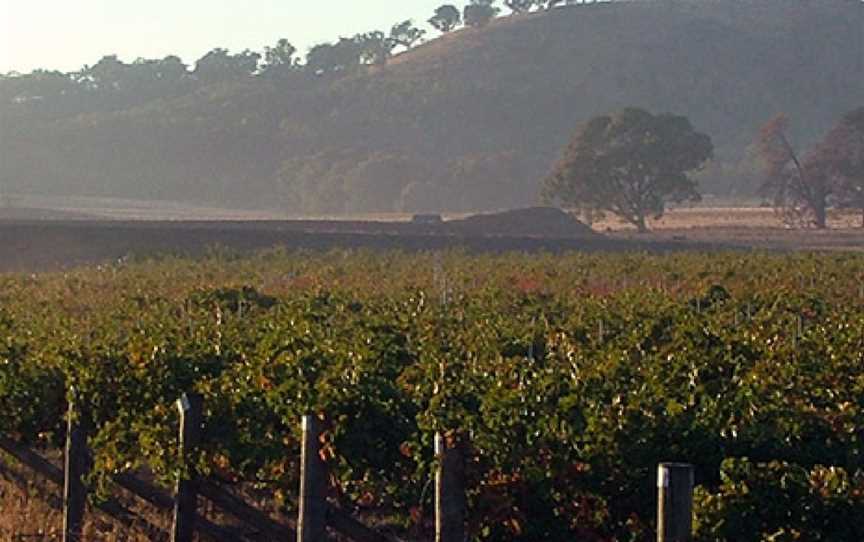 Wilksch Estate Wines, Culcairn, New South Wales