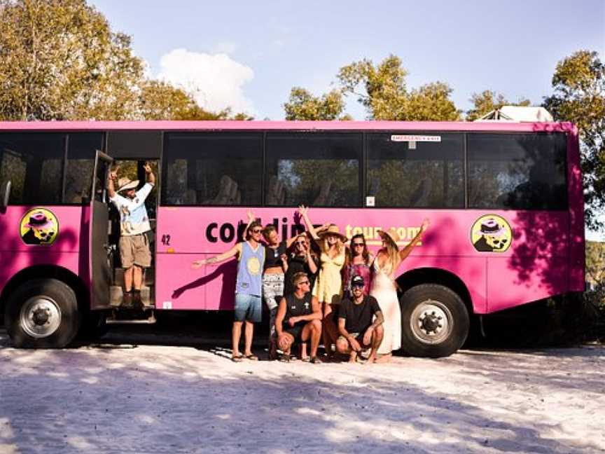 Cool Dingo Tours, Fraser Island, QLD
