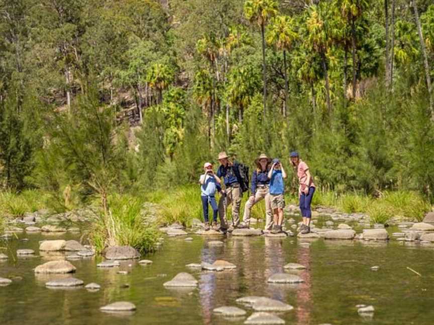 Australian Nature Guides, Carnarvon National Park, QLD