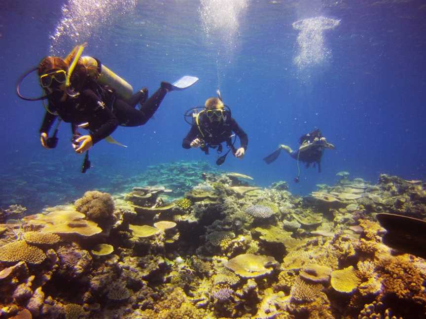 Adrenalin Snorkel Dive, Townsville, QLD