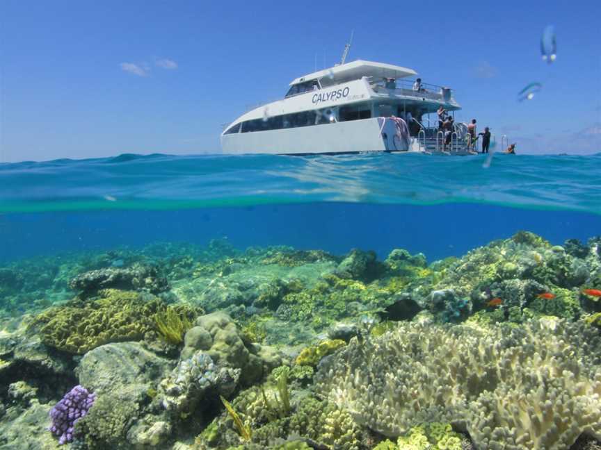 Calypso Reef Cruises, Port Douglas, QLD
