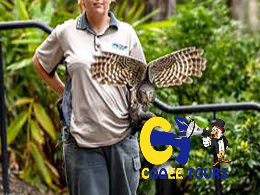 Cooee Tours David Fleay's Wildlife Park, Southport, QLD