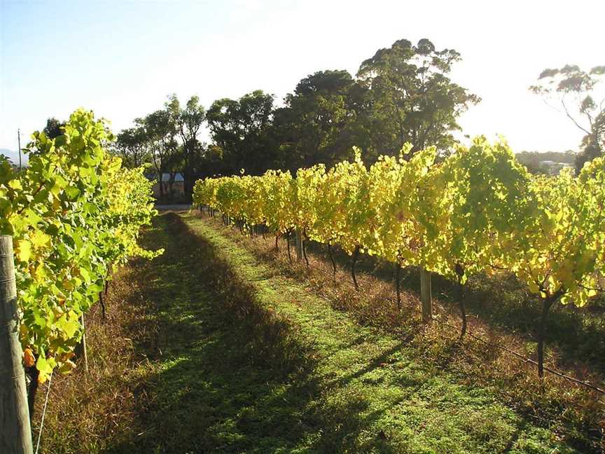 Abbey Creek Vineyard, Wineries in Mount Barker