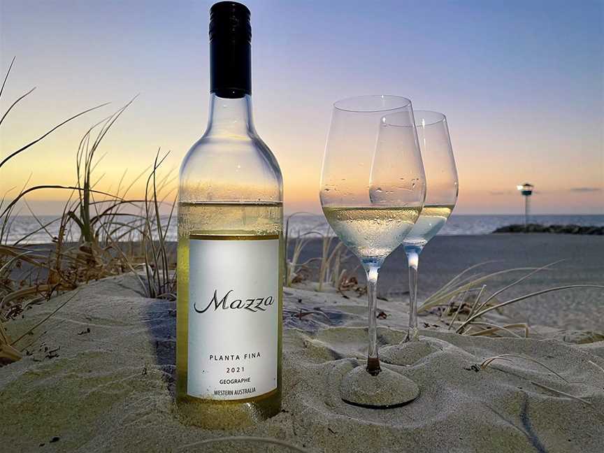 Mazza Wines new Spanish white variety - Planta Fina
