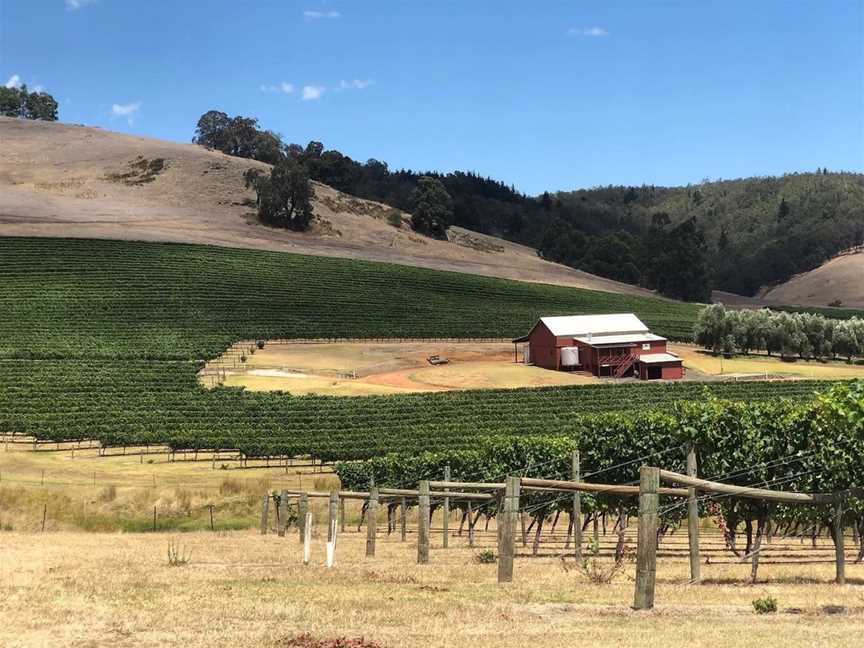 Hillbillé Winery, Wineries in Nannup