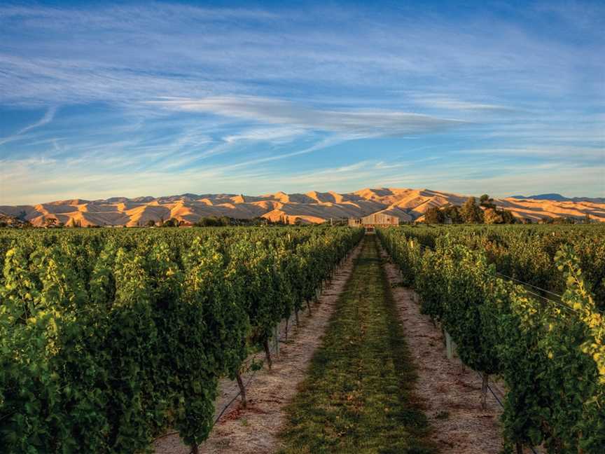 Ara Wines, Renwick, New Zealand
