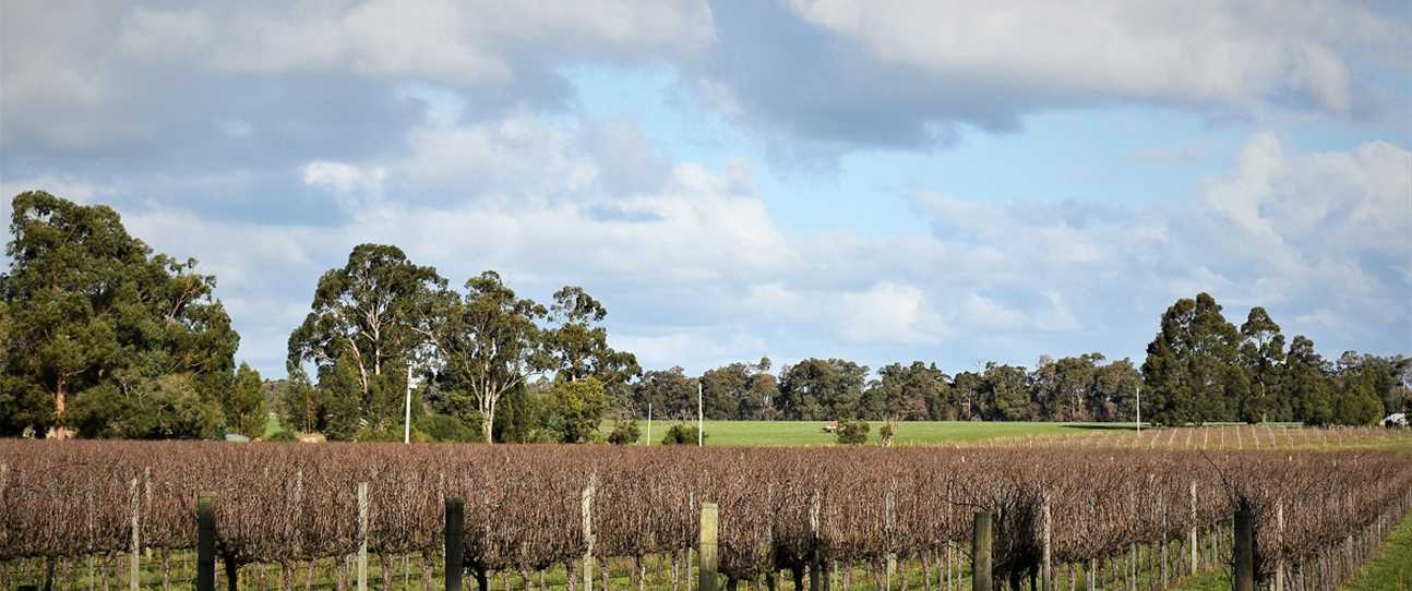 Wineries in Central Western Australia