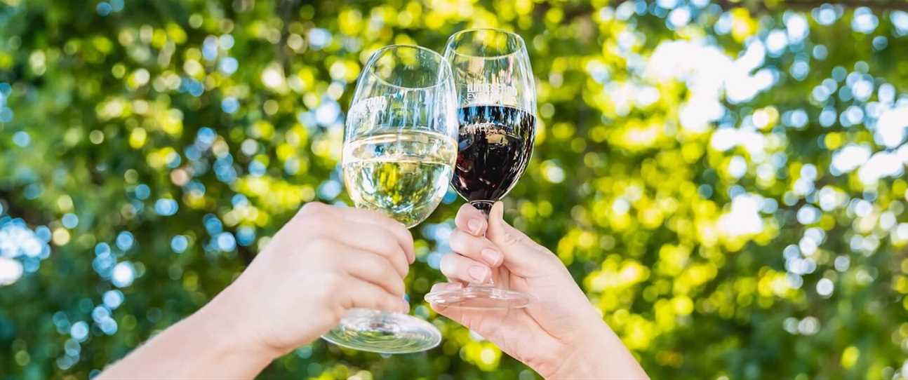 Perth's premium wine festival returns in November with over 200 wines to try and buy