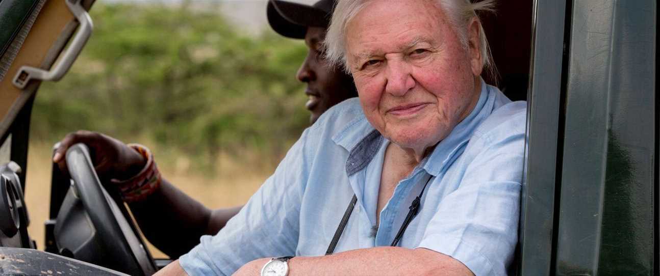 Nature lovers, get excited: one night only to see David Attenborough's latest documentary on the big screen