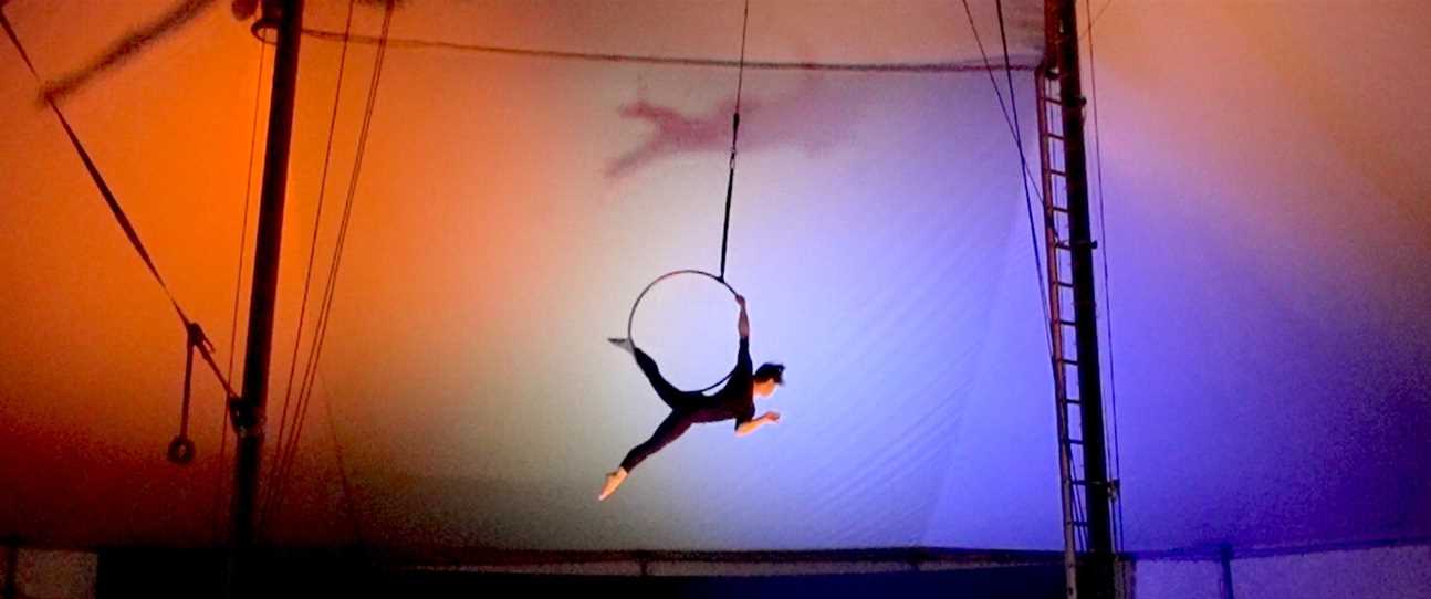 Local Fremantle artists perform at Circus WA's Home Brew Cabaret