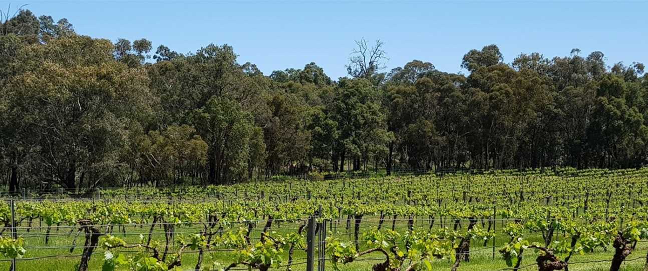 Stunning wineries in the Chittering Valley, just one hour from Perth