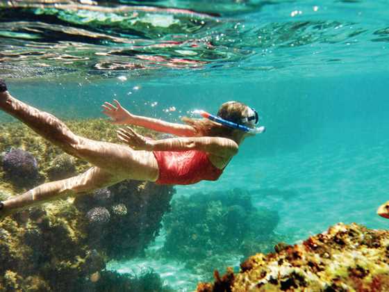 Seven beautiful snorkelling spots on Rottnest Island