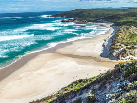 Explore the tiny coastal town of Walpole, where the giants of the forest meet the sea