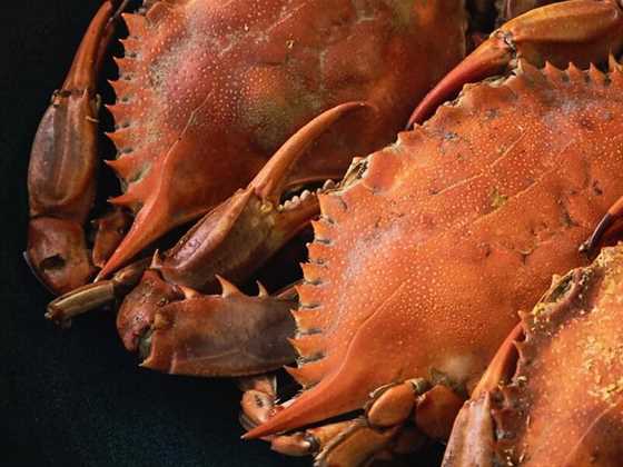 WA's newest seafood delicacy, the delicious WA Sand Crab, to be served in Perth for the first time ever