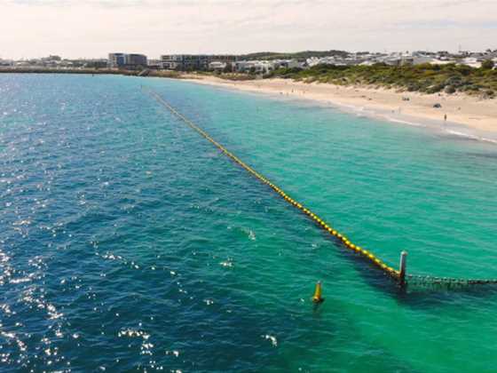 Shark nets on the beaches and rivers of Perth and WA's southwest