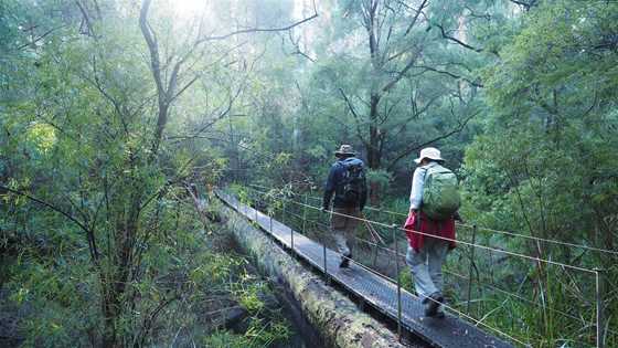 Hiking the Bibbulmun Track