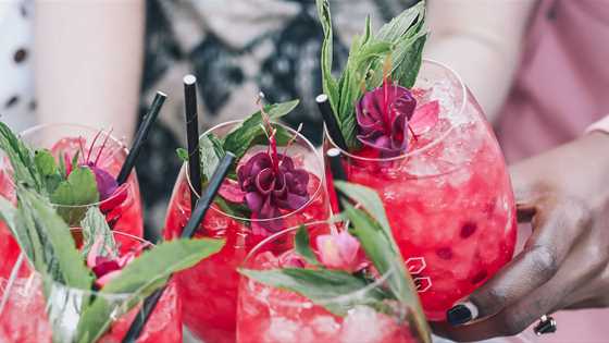 Four Perth bars reveal their signature cocktail recipes for World Cocktail Day