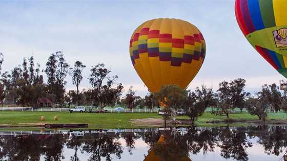 Hot air balloon tours in the Avon Valley