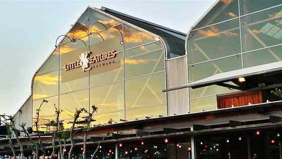 Fremantle Icon Little Creatures Turns 20