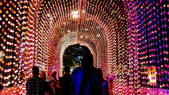 Christmas Light Trails around Perth to get you in the festive spirit