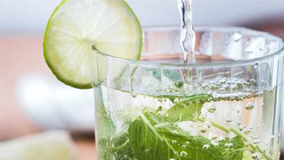 July 11 is National Mojito Day! Here's how to get your fix around Perth