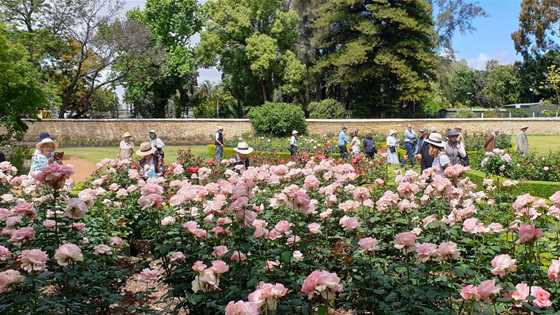 Best spots in Perth for a lunch-break picnic